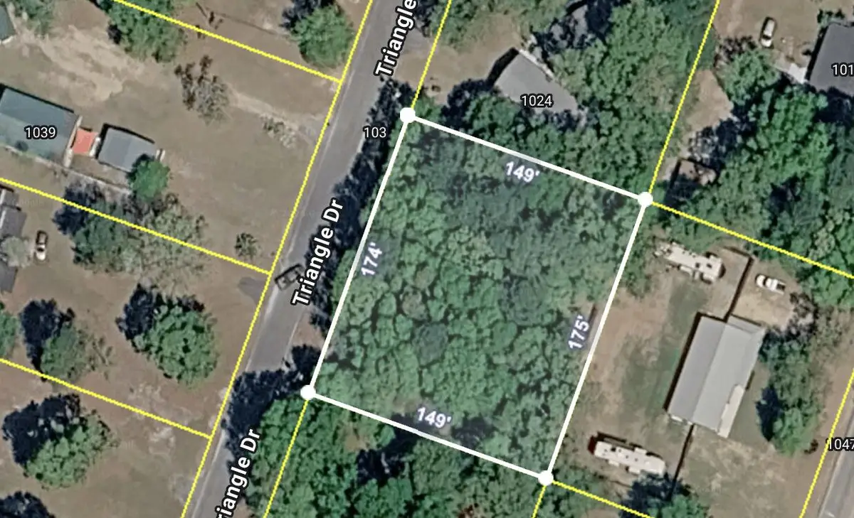 100 Triangle Drive, Summerton, SC 29148 - #1
