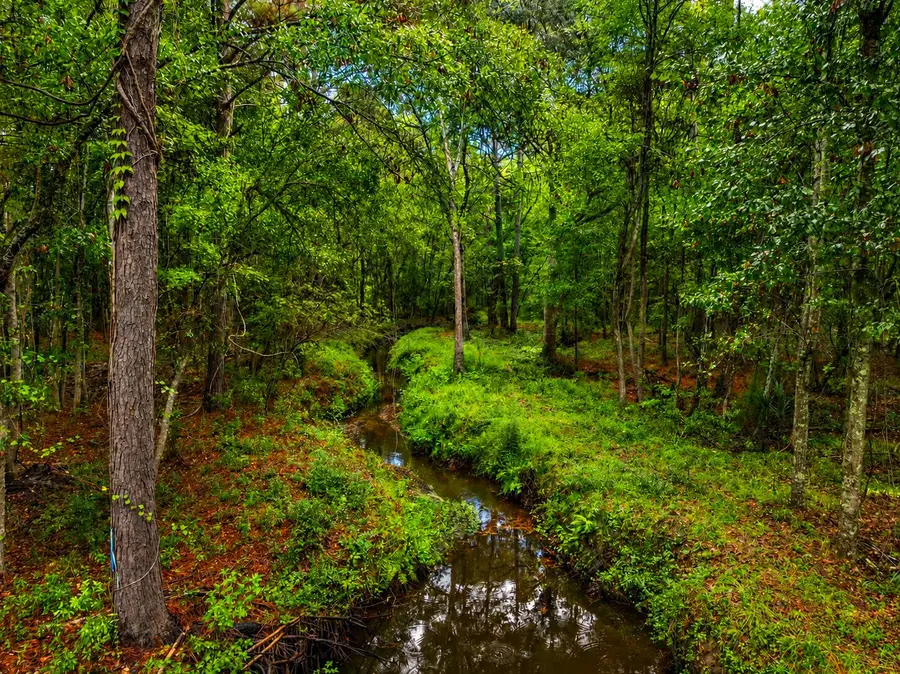 746 Wilson Cemetery Road, Awendaw, SC 29429 - #2
