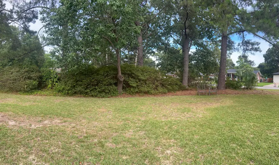 403 Rotherwood Drive, Charleston, SC 29407 - #3