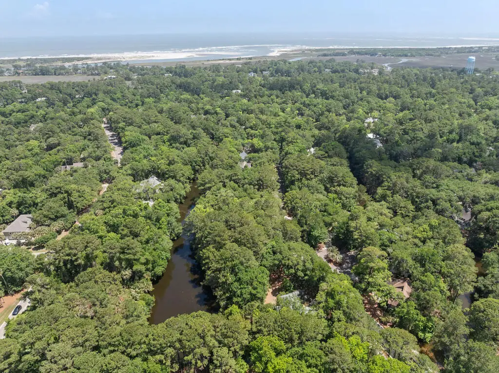 596 Oyster Rake Drive, Johns Island, SC 29455 - #1