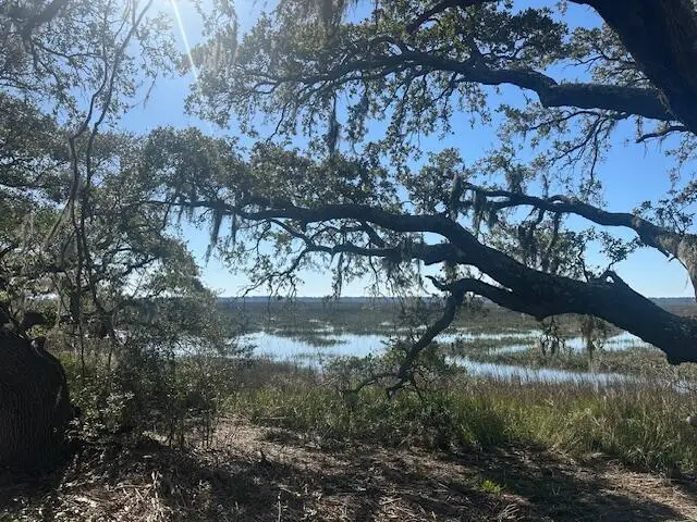 3495 Legareville Road, Johns Island, SC 29455 - #2