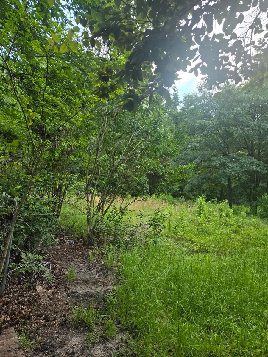 0 N Hampton Lot 2 Street, Summerville, SC 29485 - #3