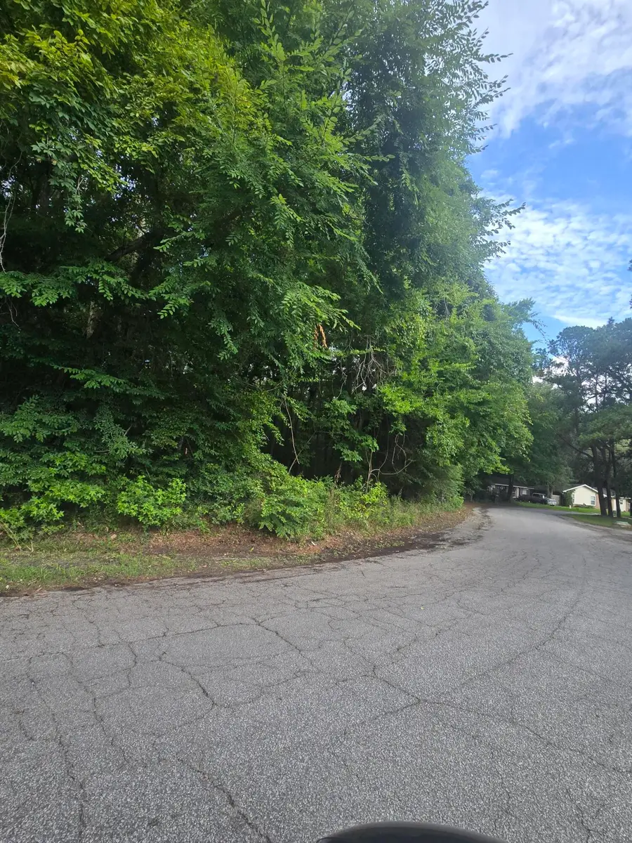 0 Judith Lot 1 Drive, Summerville, SC 29485 - #3