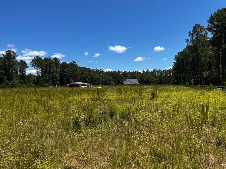 0 Cane Branch Road, Walterboro, SC 29488 - #2