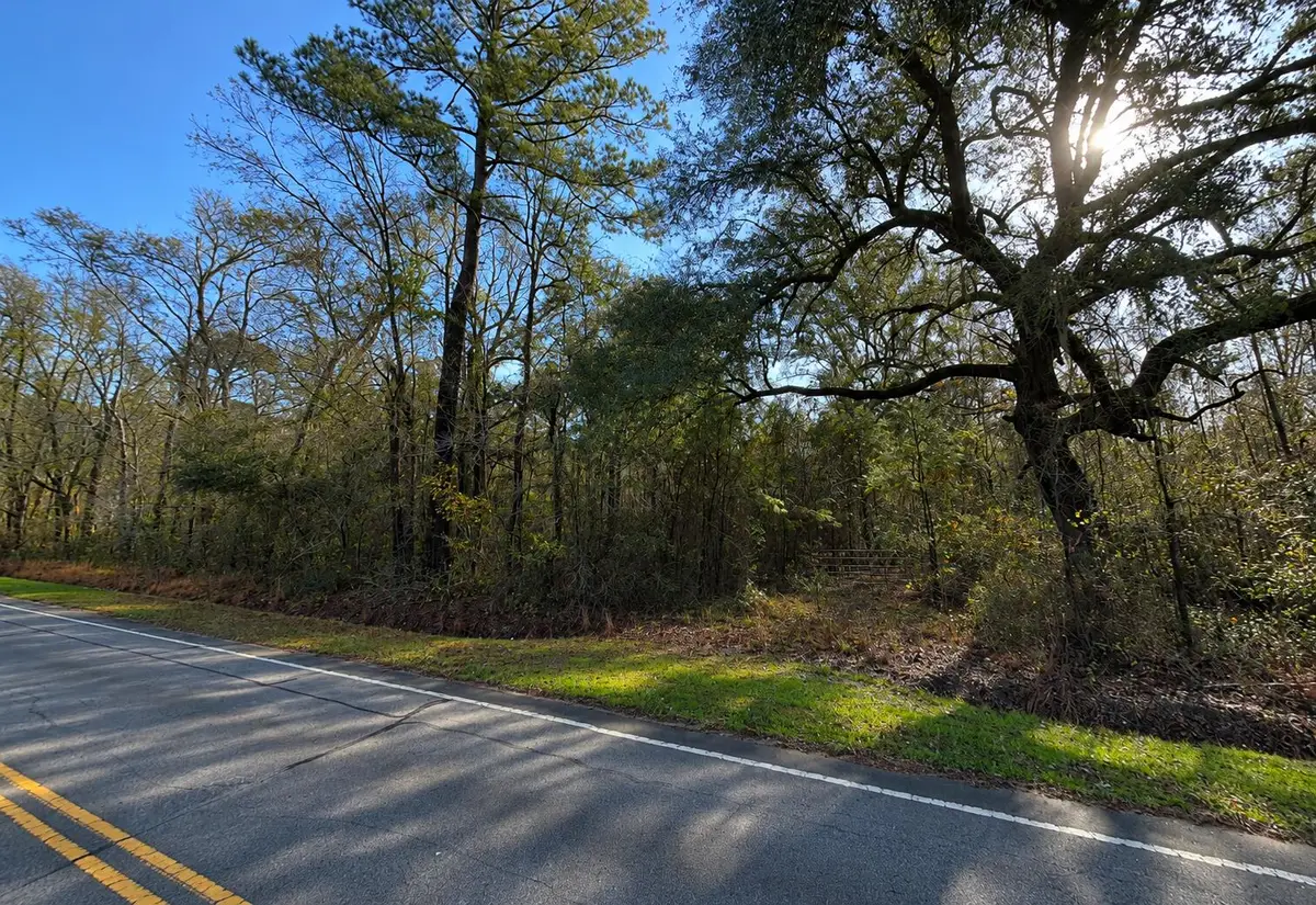 11068 Jefferies Highway, Walterboro, SC 29488 - #1