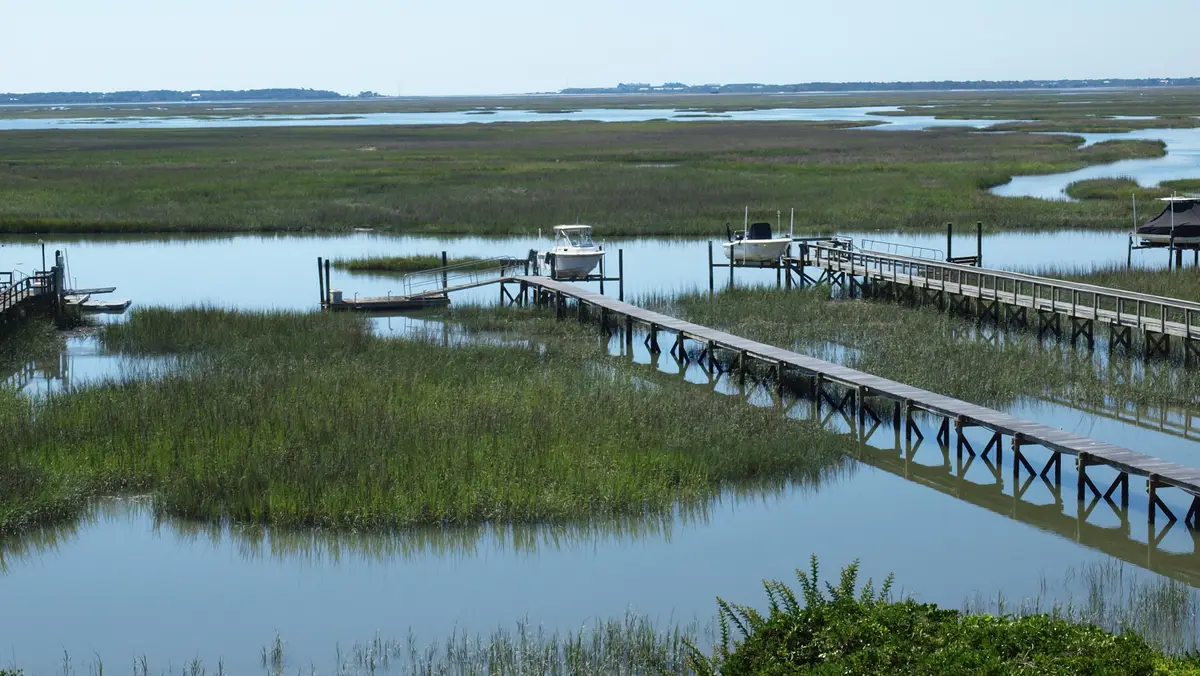 5027 Barrier Island Court, Mount Pleasant, SC 29466 - #1