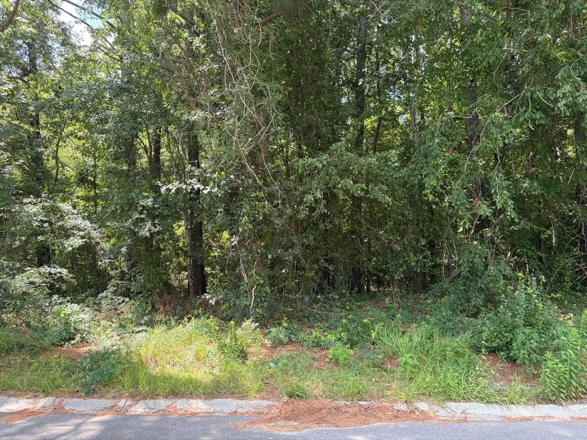 308 E Poplar Branch Drive, Moncks Corner, SC 29461 - #1