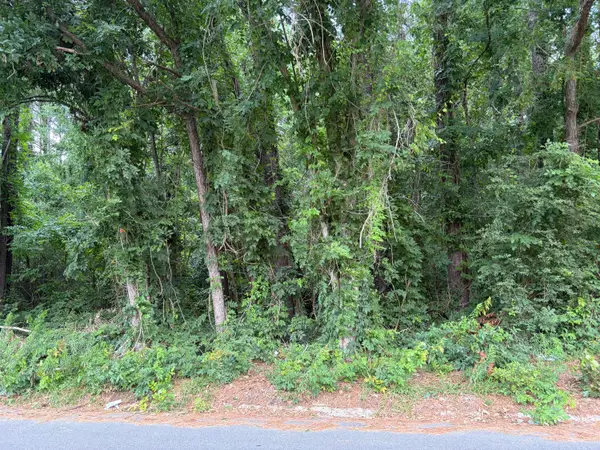 314 E Poplar Branch Drive, Moncks Corner, SC 29461