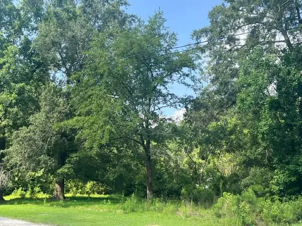 0 Parsons Road, Summerville, SC 29483