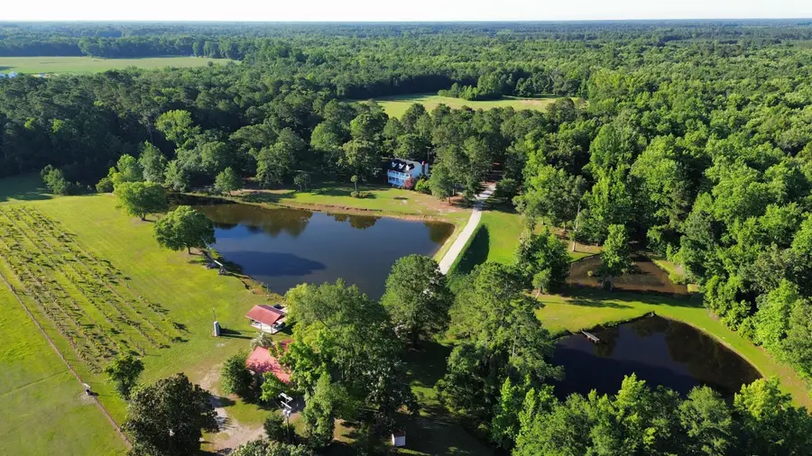 701 Truluck Vineyard Road, Lake City, SC 29560 - #2