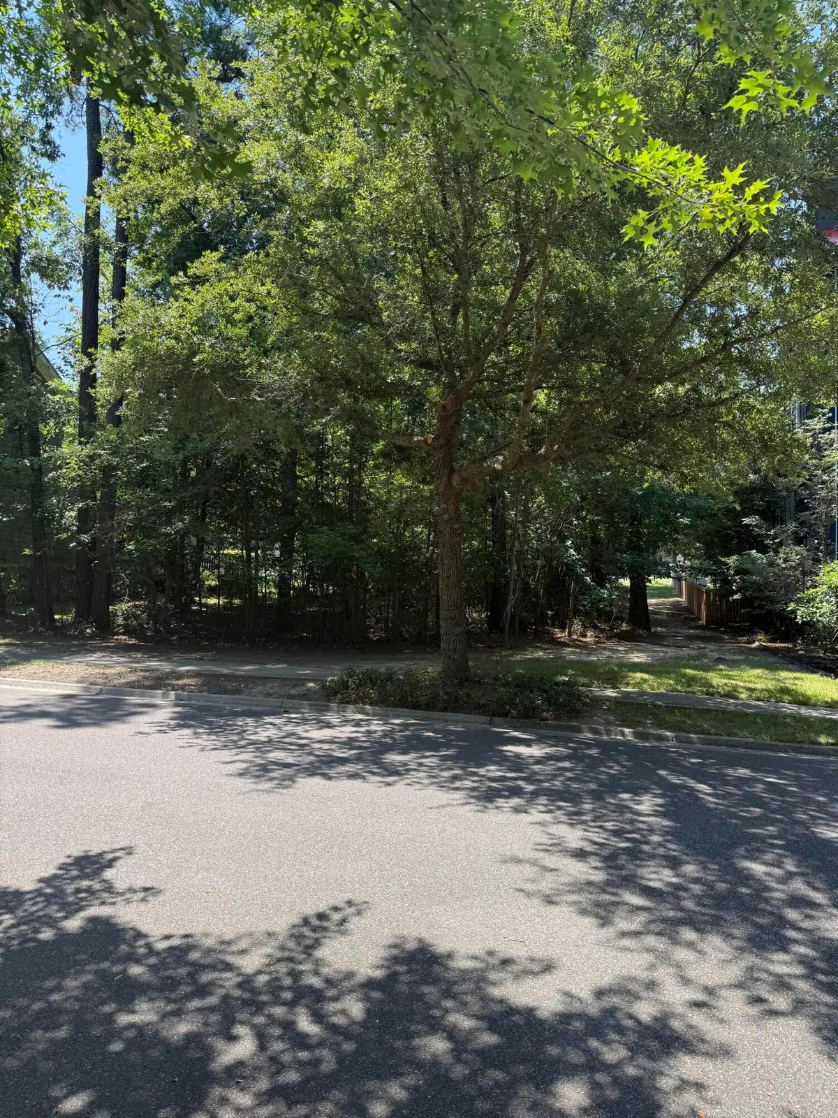 235 Lotz Drive, Summerville, SC 29483 - #1