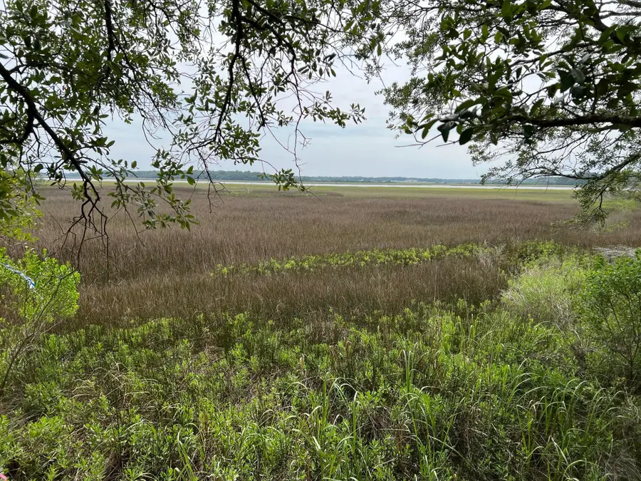 2017 Paul Chavis Lane Charleseton Lane, Charleston, SC 29412 - #2