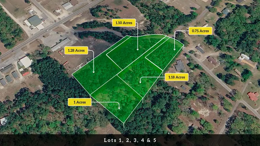 3 Broken Arrow Road, Eutawville, SC 29048 - #3