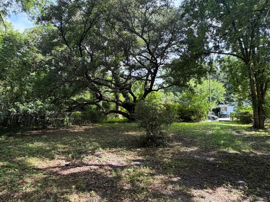 107 Lockhart Street, Walterboro, SC 29488 - #2