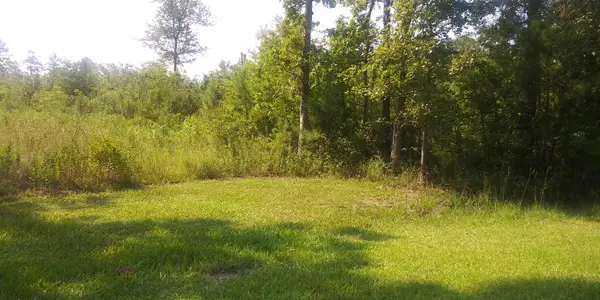 258 Truth Way #Lot  5, Cordesville, SC 29434