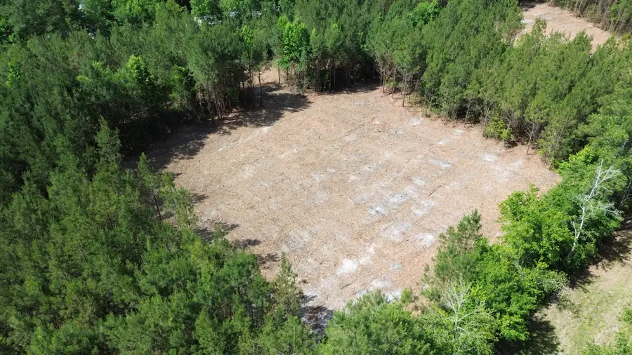 2 Highway 311, Cross, SC 29436 - #2