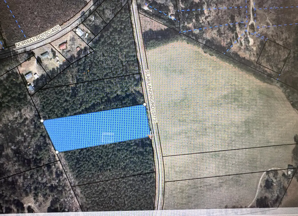 Tbd Slablanding Road Road, Cope, SC 29038 - #1