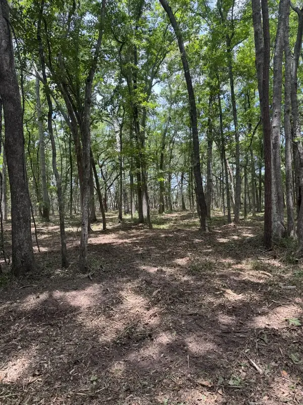 00 Beagle Club Road, Meggett, SC 29449