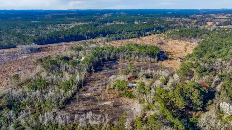 456 Breezewood Lane, Cottageville, SC 29435 - #3