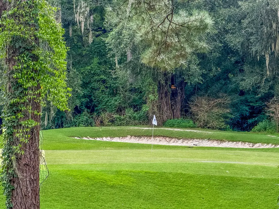 206 Golfview Lane, Summerville, SC 29485 - #2