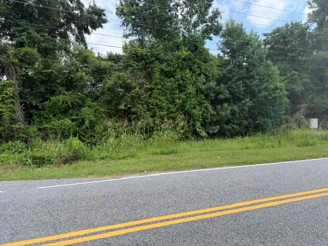 210212 Esther Lane, Orangeburg, SC 29115 - #2