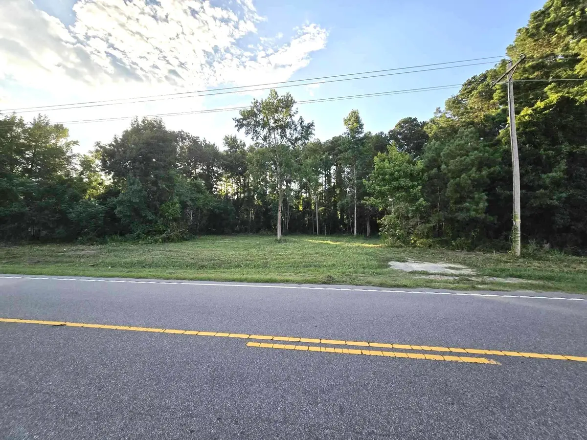 1420 Bill Davis Road, Manning, SC 29102 - #1