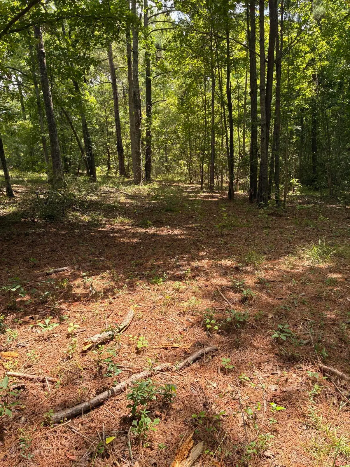 Address Withheld By Seller, Santee, SC 29142 - #1