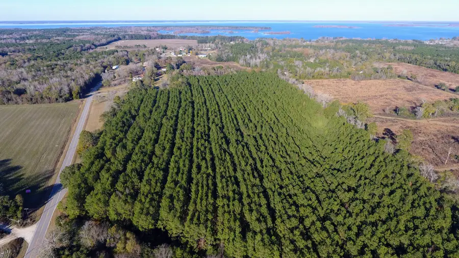 0 Rocks Pond Road #Lot K, Eutawville, SC 29048 - #3