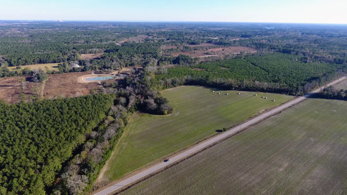 0 Rocks Pond Road #Lot W, Eutawville, SC 29048 - #1
