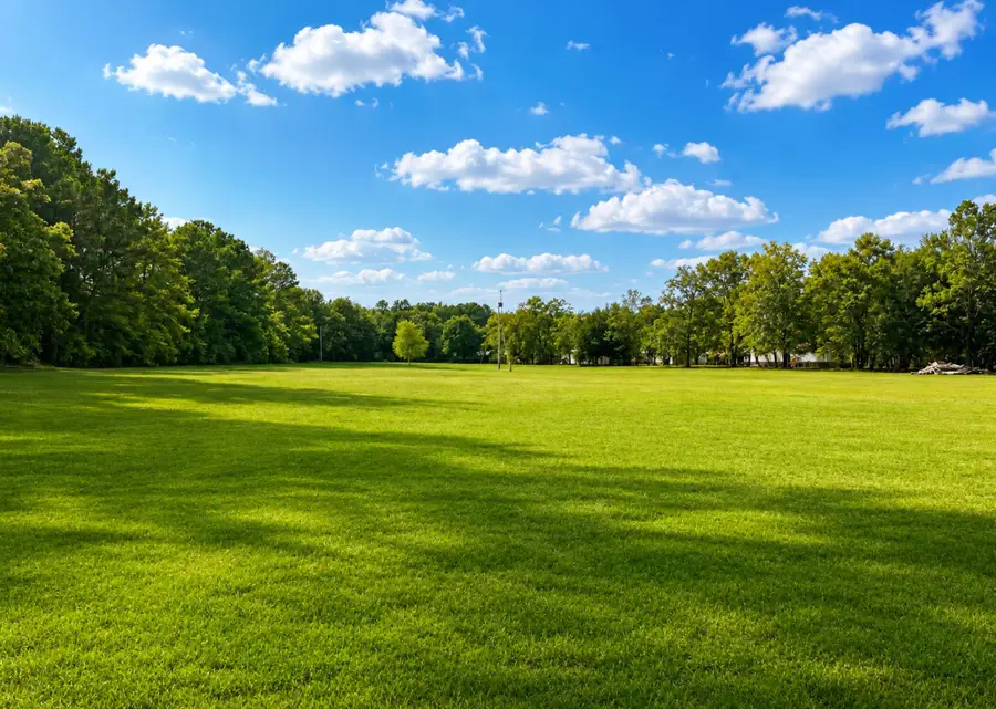 00 Highway 45, Pineville, SC 29468 - #2