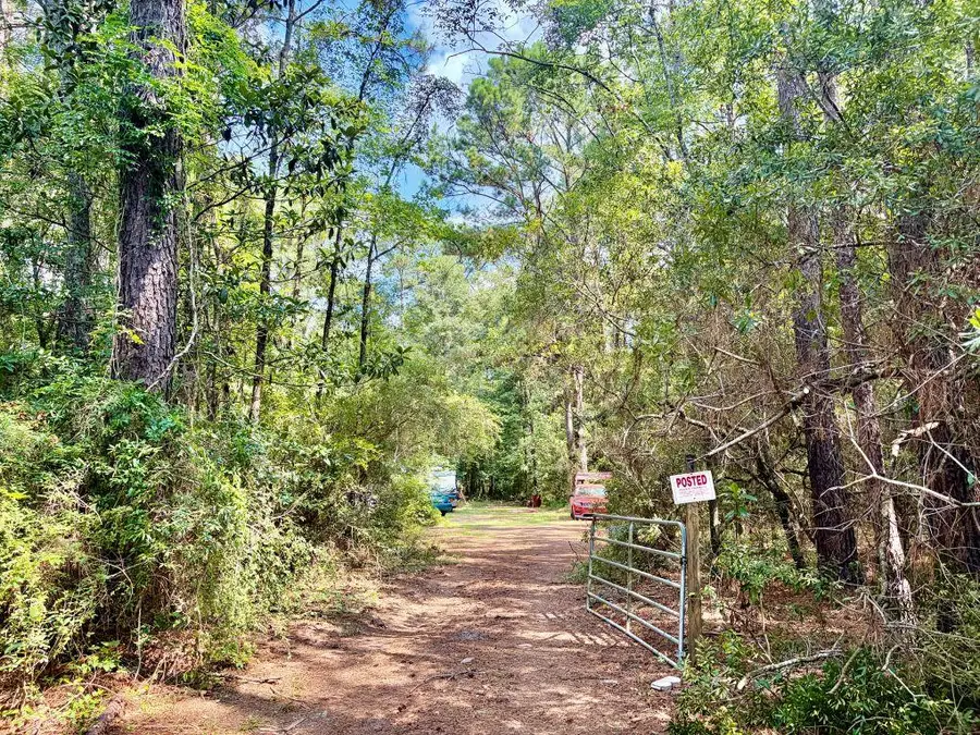 179 Song Bird Drive, Round O, SC 29474 - #2