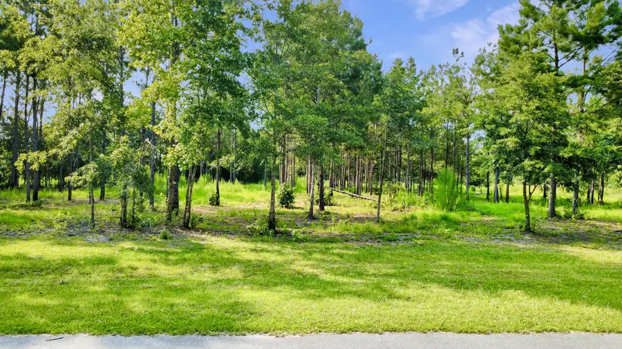 1 Grannys Lane, Saint George, SC 29477 - #2