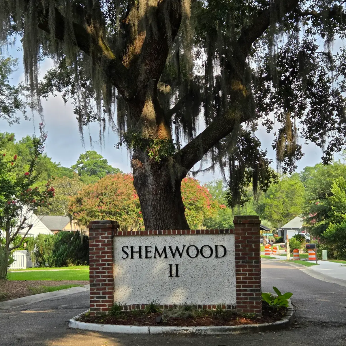 1005 Jack Snipe Lane, Mount Pleasant, SC 29464 - #1