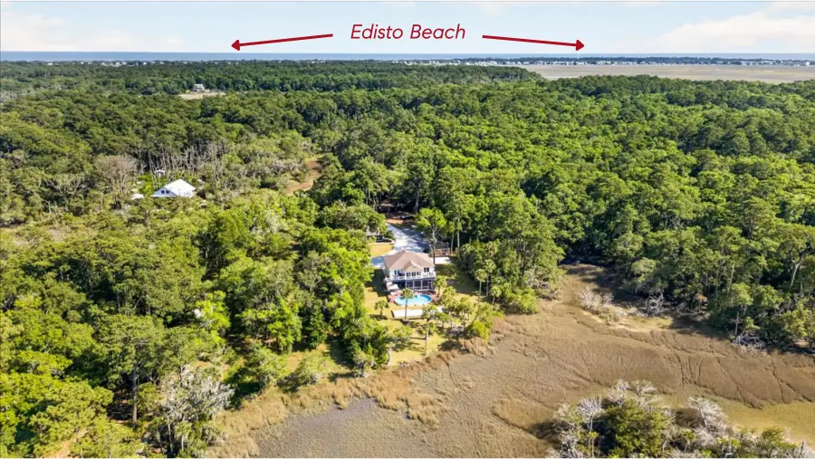 167 Cape Palmetto Point Trail, Edisto Island, SC 29438 - #2