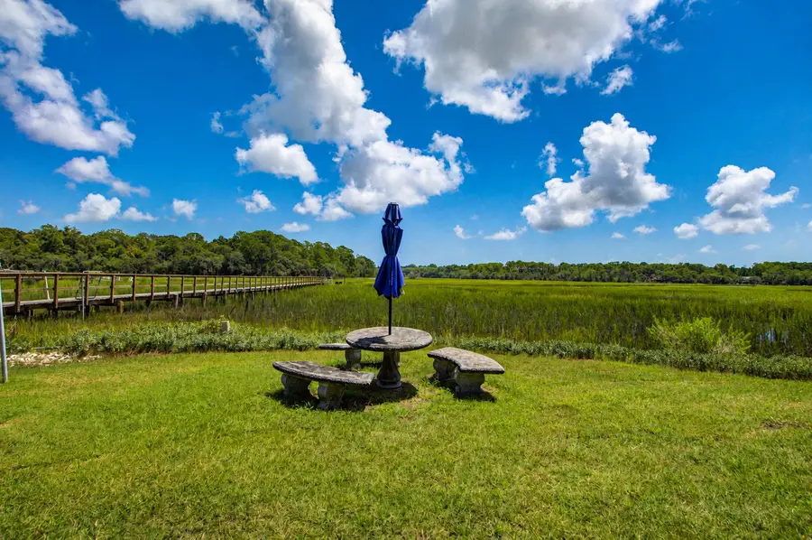 2039 Bentz Road, Wadmalaw Island, SC 29487 - #3