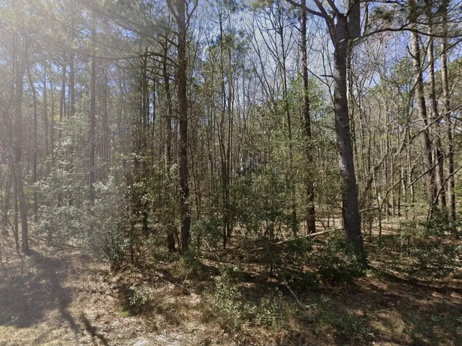 0 Barnhart Drive, Orangeburg, SC 29115 - #3