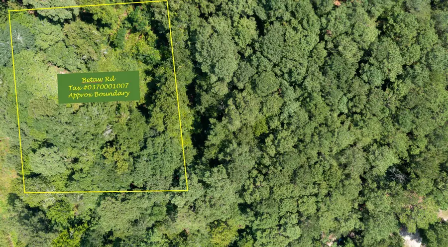 0 Betaw Road, Saint Stephen, SC 29479 - #3