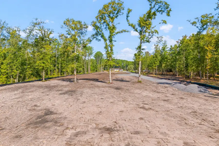 0 Raptor Trail #Lot 4, Ladson, SC 29456 - #3