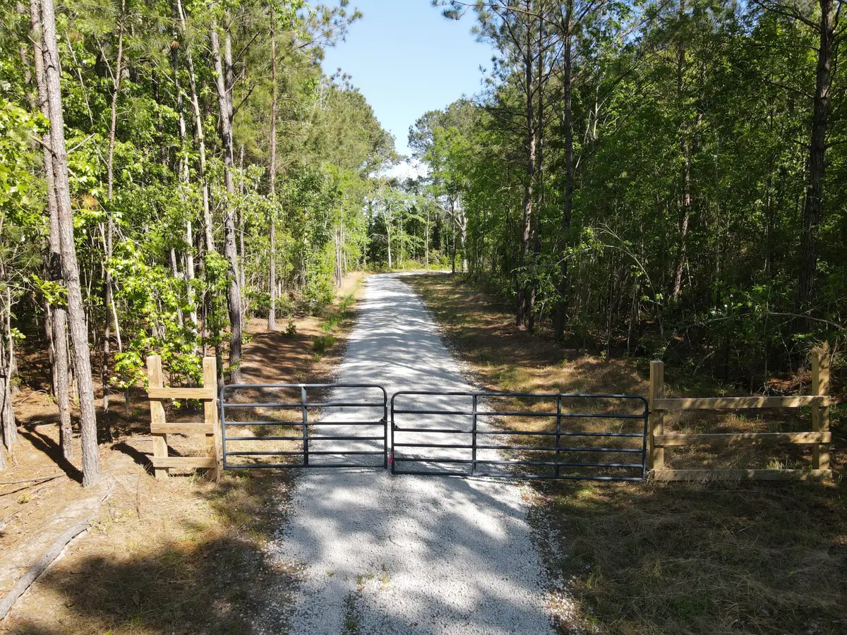 1 Cottage Lane, Saint Stephen, SC 29479 - #1