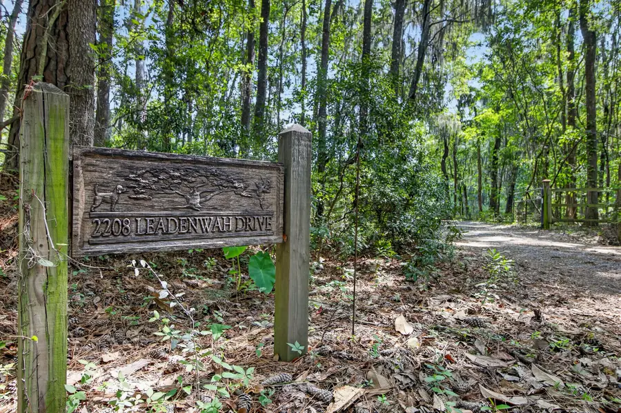 2208 Leadenwah Drive, Wadmalaw Island, SC 29487 - #3