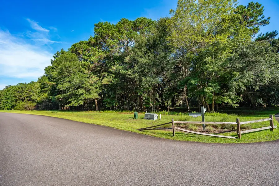4132 Gnarled Oaks Lane #54, Johns Island, SC 29455 - #3