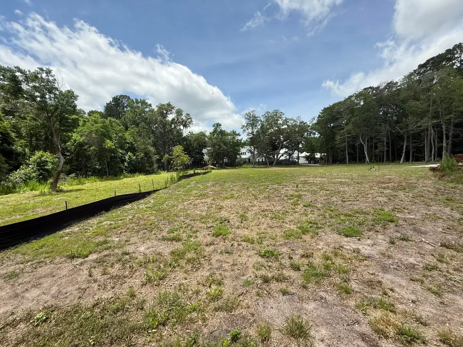 1180 Fulton Hall Lane, Mount Pleasant, SC 29466 - #3