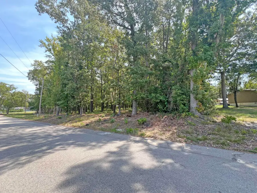 1073 Summerford Lane, Manning, SC 29102 - #3