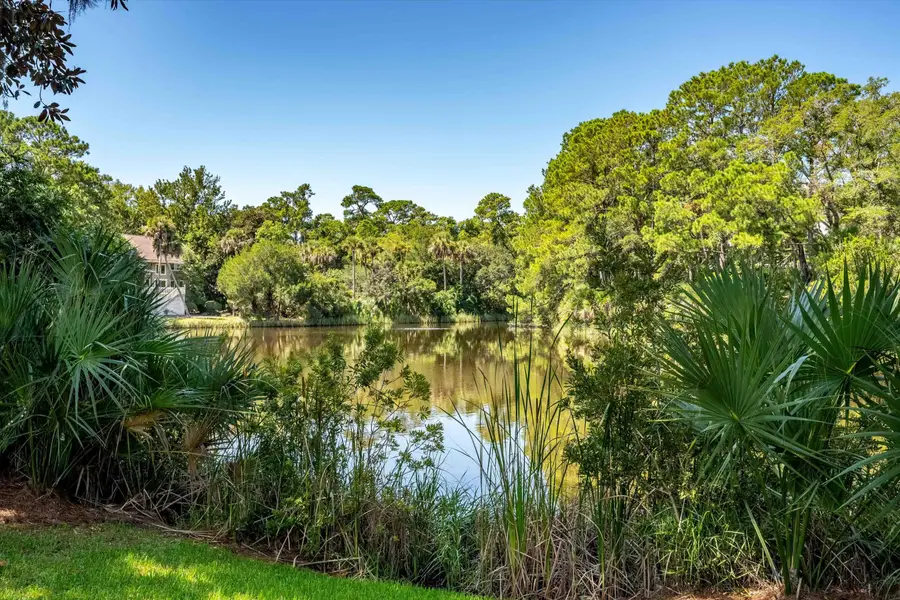 166 Marsh Island Drive, Kiawah Island, SC 29455 - #3
