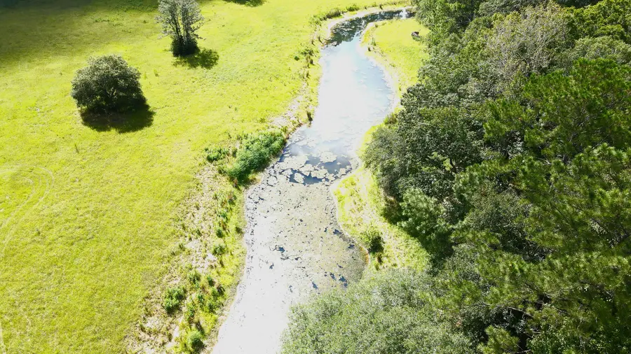 4503 Chisolm Road #Lot B, Johns Island, SC 29455 - #3