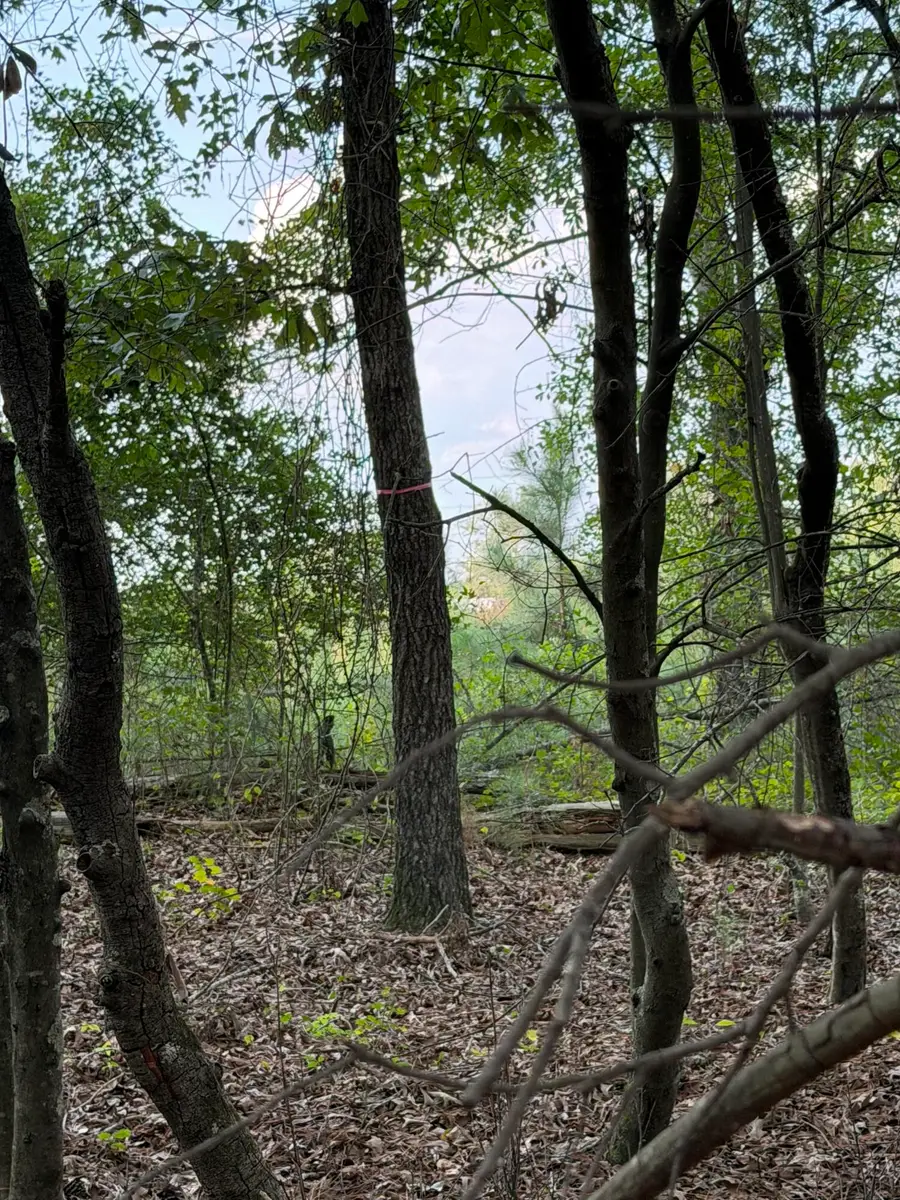 0 Fire Tower Road, Salley, SC 29137 - #2