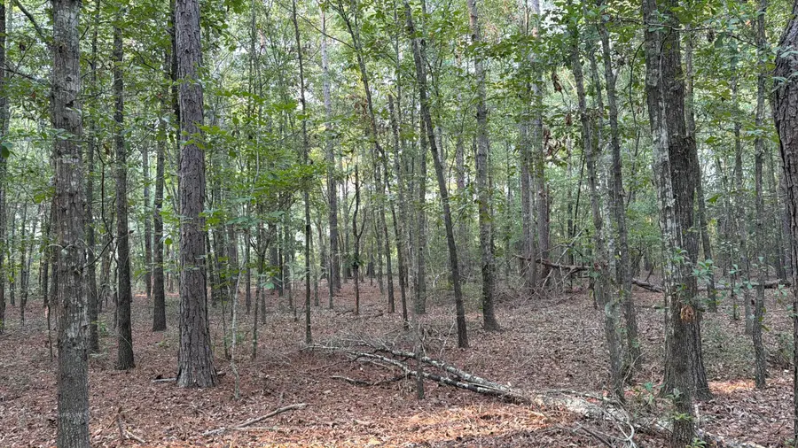 0 Fire Tower Road, Salley, SC 29137 - #3