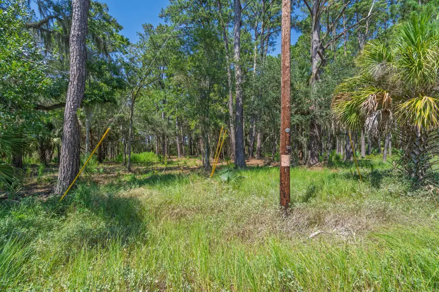 7860 Russell Creek Road, Edisto Island, SC 29438 - #2