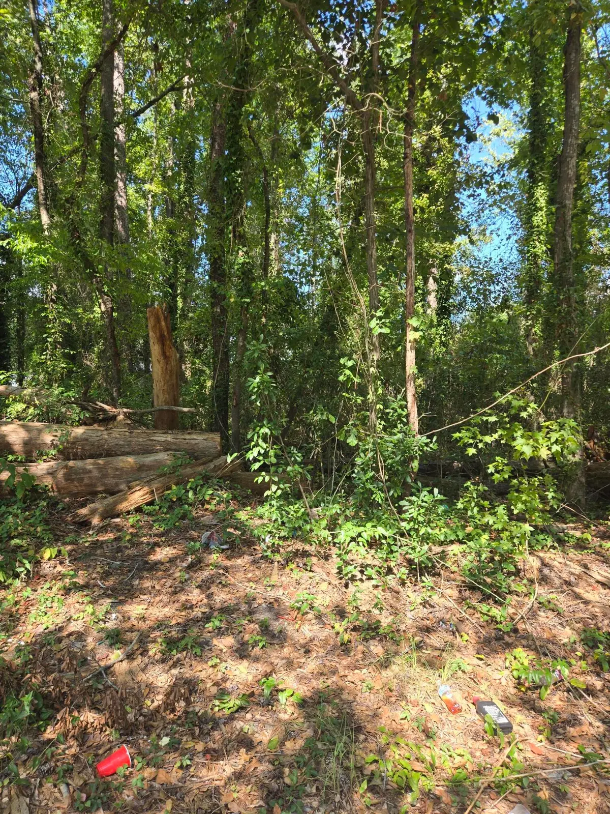 840 Nance Street, Orangeburg, SC 29115 - #1