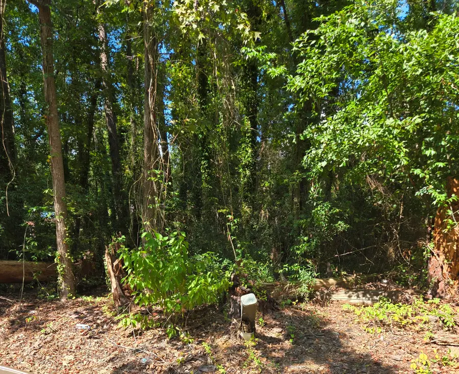 840 Nance Street, Orangeburg, SC 29115 - #3